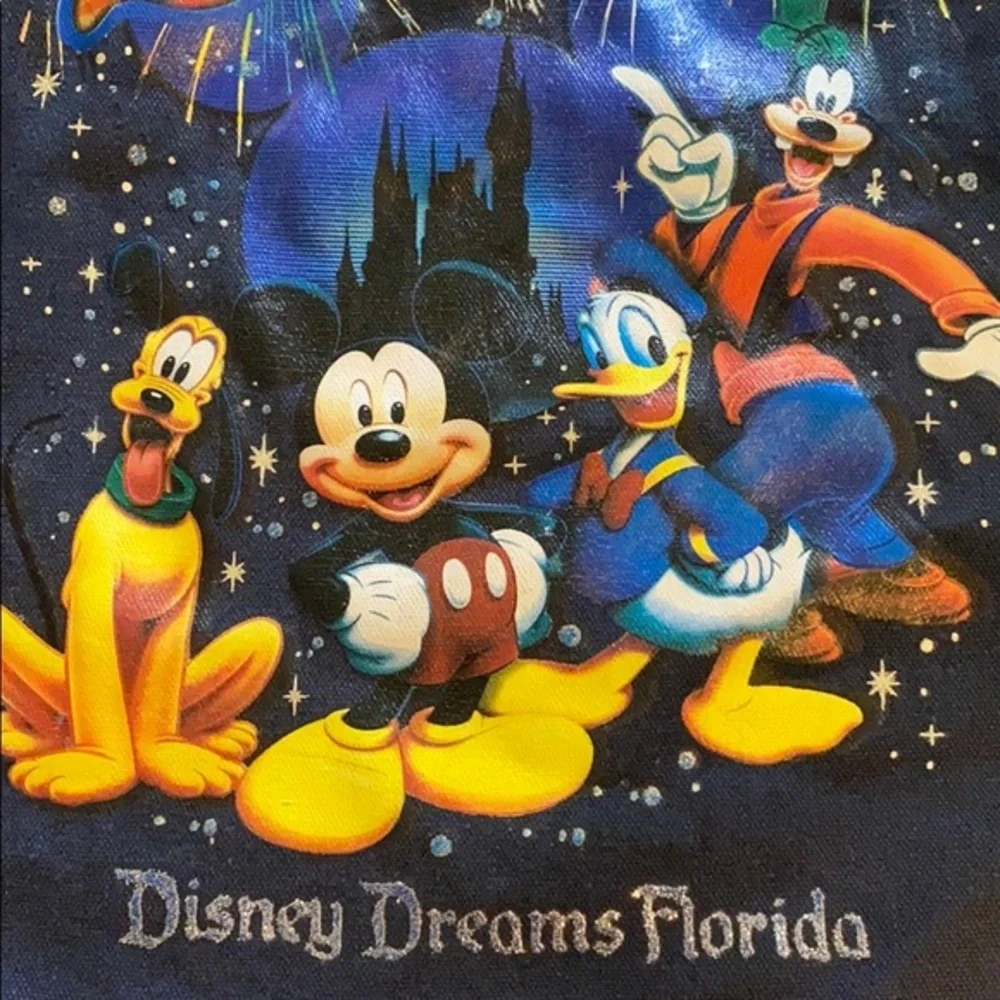 Disney Dreams Florida 2004 Tote Bag Mickey Donald Goofy Pluto Zip Reusable